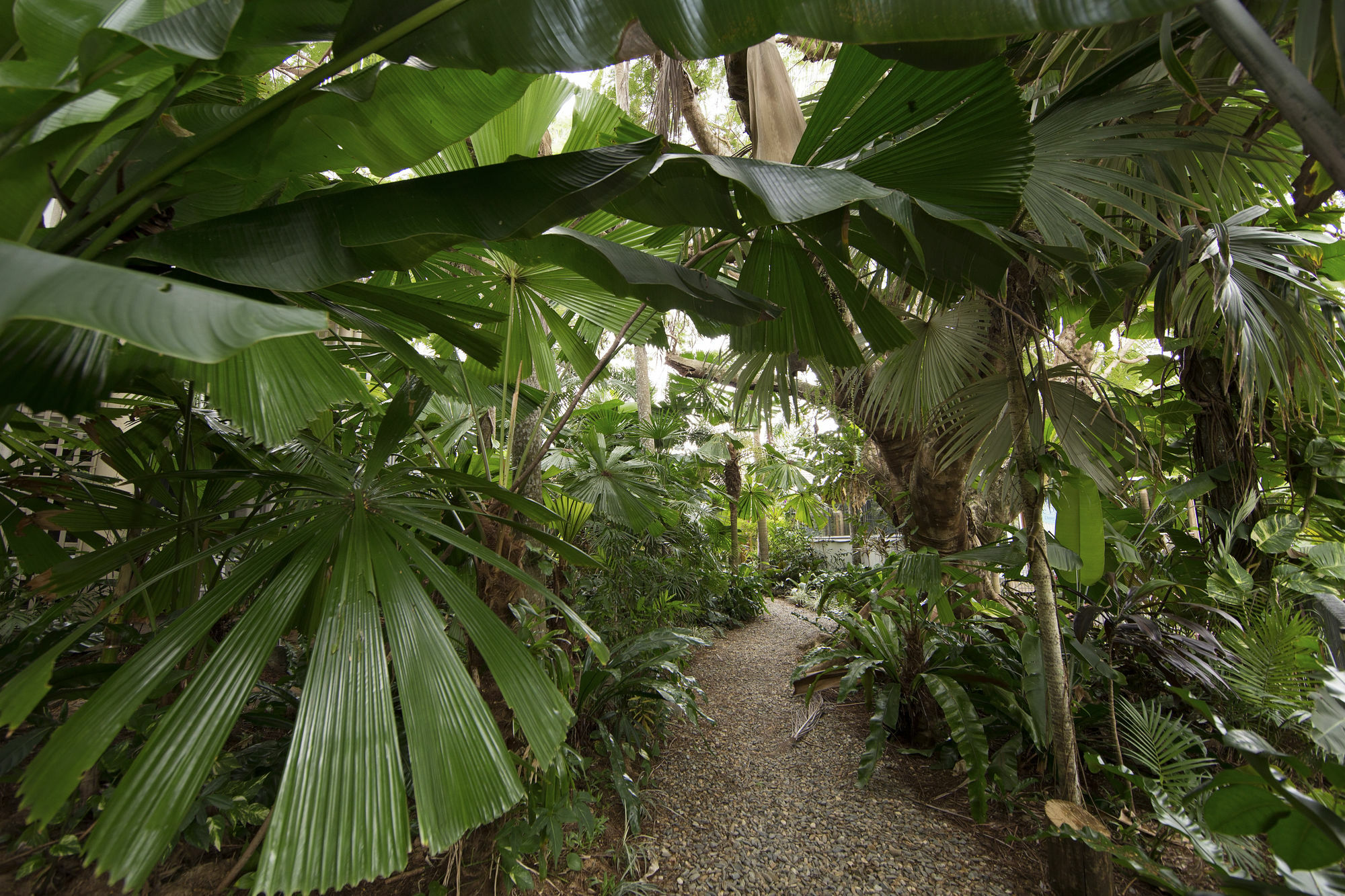 Castaways Resort & Spa On Mission Beach Luaran gambar